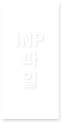 INP 파일
